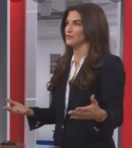 CNN's Kaitlan Collins Tries to Lecture Mike Waltz on Supreme Court Law — It Goes Exactly How You'd Expect